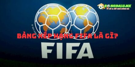 Bảng xếp hạng FIFA là gì nơi thống kê thành tích các đội tuyển